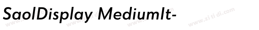 SaolDisplay MediumIt字体转换
